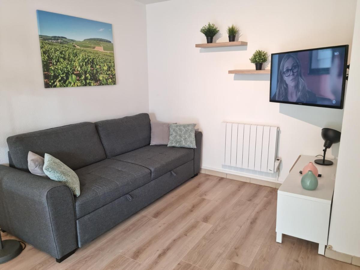 Beaune Appartement Avec Parking Et Wifi Gratuit 外观 照片